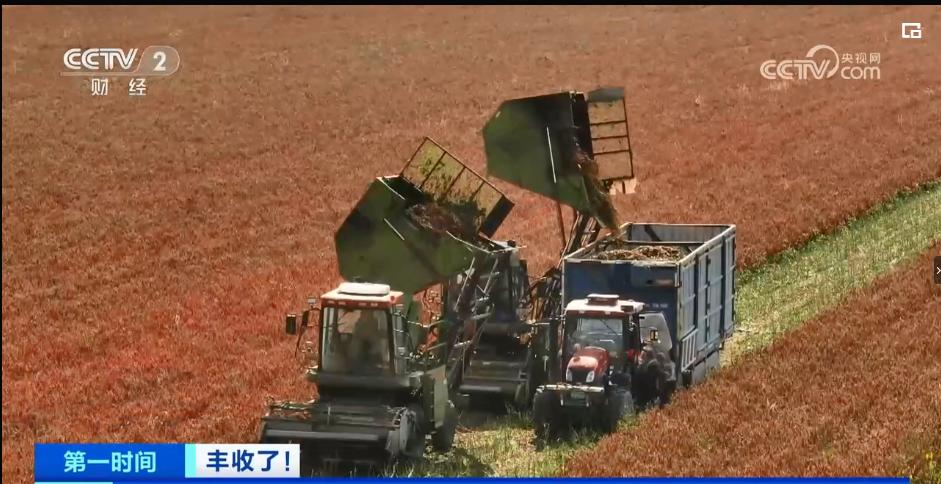 1698902985554034.jpg 图片1.jpg