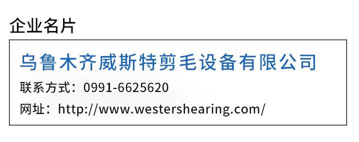 1736909925830298.jpg 111.jpg